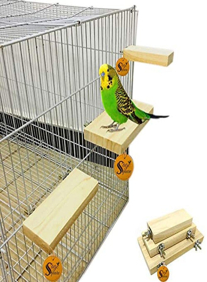 سايج سكوير منصة خشبية طبيعية مربعة من سيج، مجثم، حامل لعبة للطيور والهامستر والفئران (خفيفة الوزن) (مجموعة من 3 أحجام) - Image 1